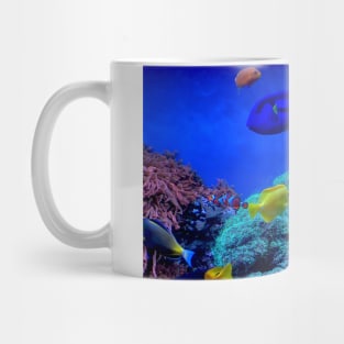 Aquarium Fish Mug